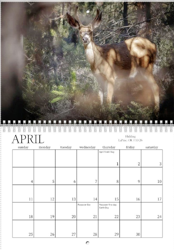 2027 Wild Things Calendar