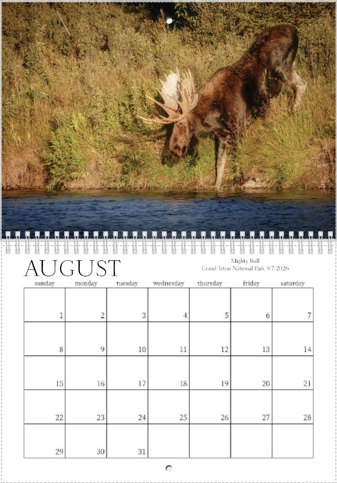 2027 Wild Things Calendar