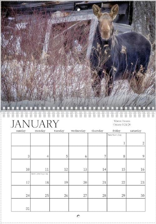 2027 Wild Things Calendar
