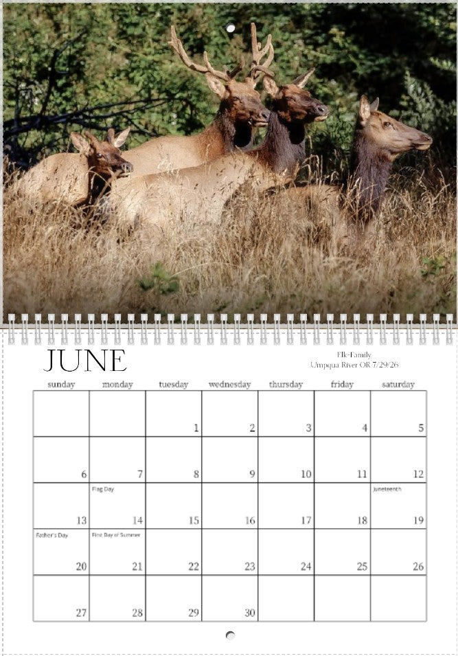 2027 Wild Things Calendar