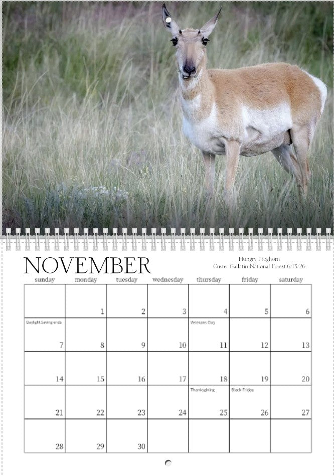 2027 Wild Things Calendar