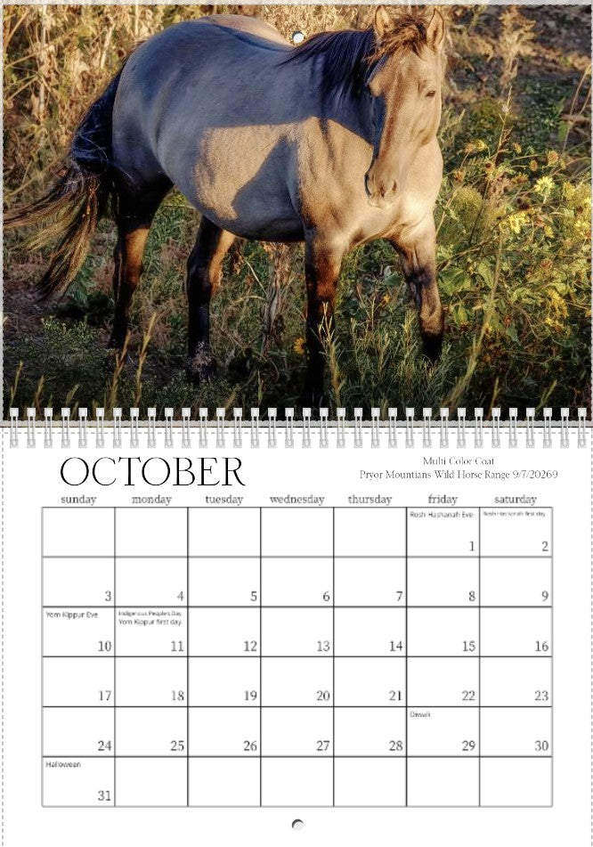 2027 Wild Things Calendar