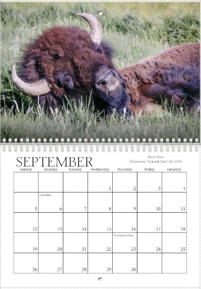 2027 Wild Things Calendar