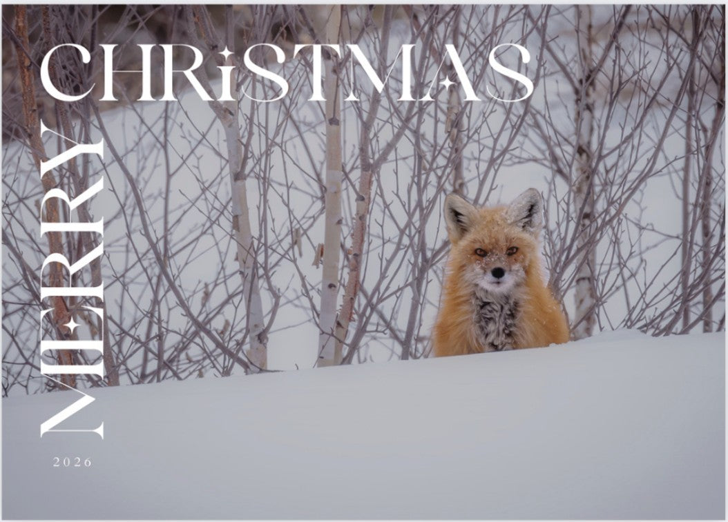 Snowy Fox - Christmas 5×7 Folded Card