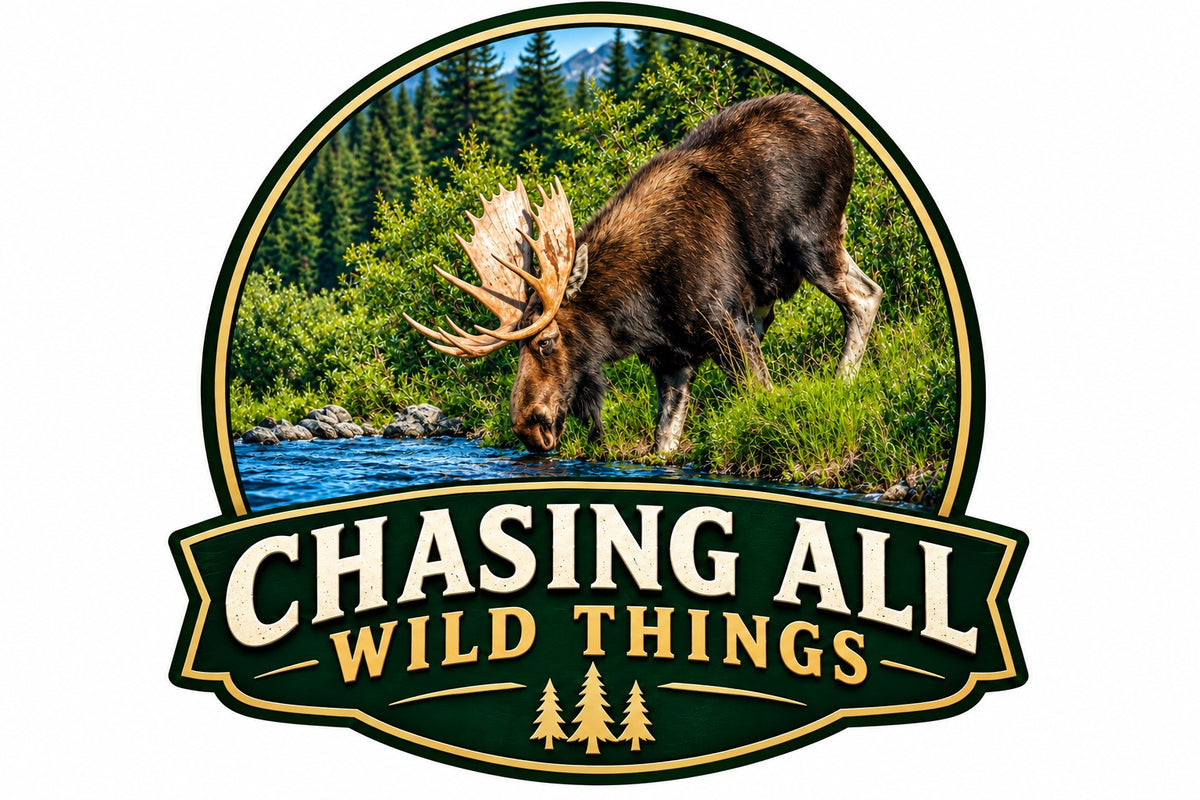 Chasing All Wild Things
